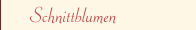Schnittblumen