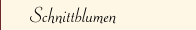 Schnittblumen