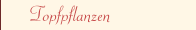 Topfpflanzen