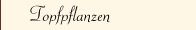 Topfpflanzen