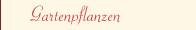 Gartenpflanzen