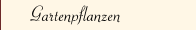 Gartenpflanzen